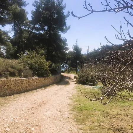 Appartamento On The Sea