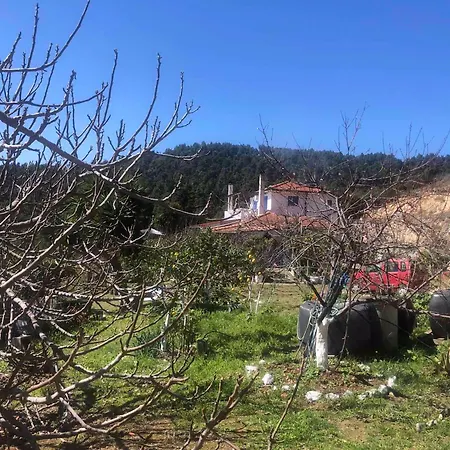 On The Sea Μηλιά